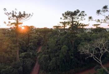 Atardecer a través de la