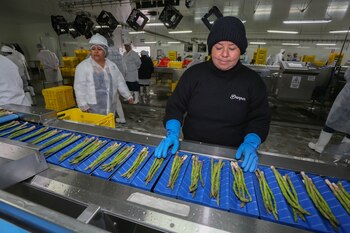 Estados Unidos, Holanda y España