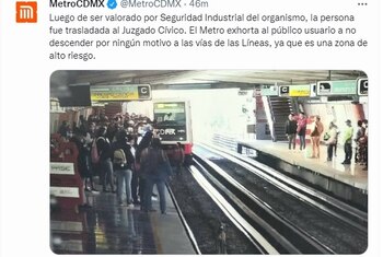 metro_comunicado_usuario_detenido_rescate_perro_02