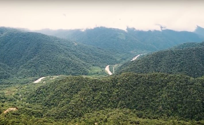 Camanti - Mongabay