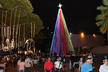 El Alumbrado 2024 en Cali fusiona tradición con su biodiversidad en resplandecientes decoraciones iluminadas - crédito Alcaldía de Cali