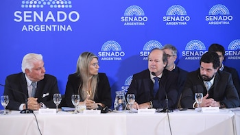 El Gobierno busca blindar el Súper RIGI: el secretario de Hacienda irá al Senado por pedido de la oposición