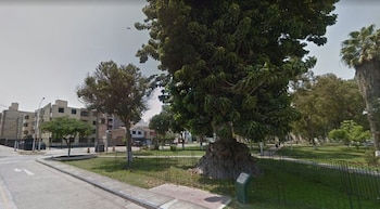 (Foto: Municipalidad de Pueblo Libre)