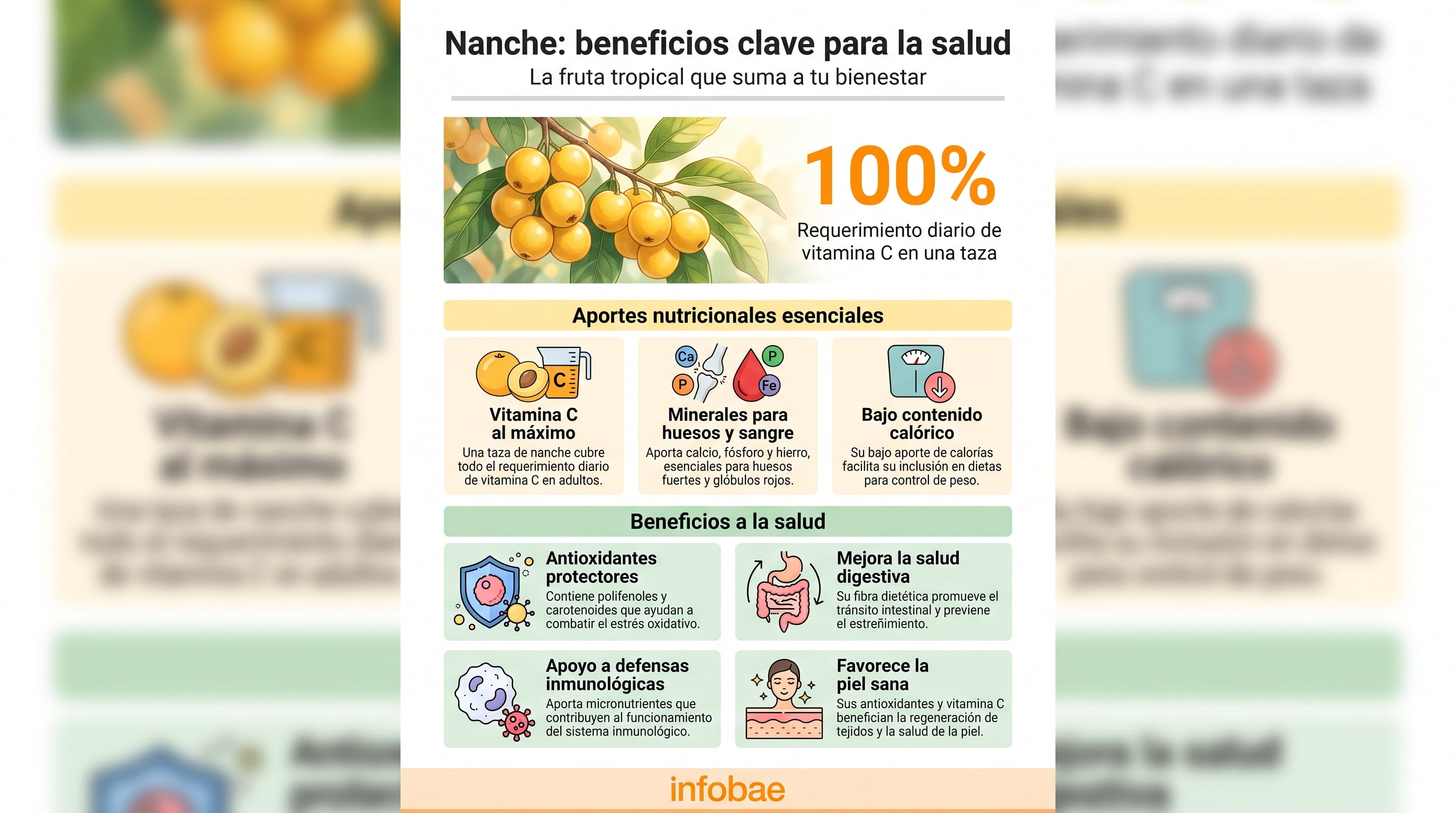 Una infografía ilustra los beneficios del nanche para la salud, destacando su aporte del 100% del requerimiento diario de vitamina C y otros nutrientes esenciales. (Imagen Ilustrativa Infobae)