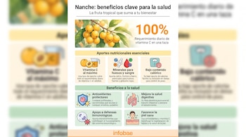 Infografía con título 'Nanche: beneficios clave para la salud', ilustración de nanche en rama, íconos de nutrientes, balanza y beneficios corporales, logotipo Infobae.