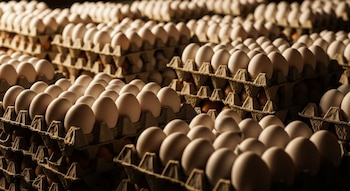 Múltiples maples de huevos de cartón apilados, con huevos blancos y marrones, distribuidos sobre una superficie con sombras profundas.