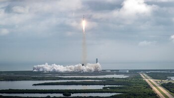 ¿Qué valor tienen los metales