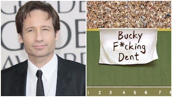 David Duchovny llevará su novela