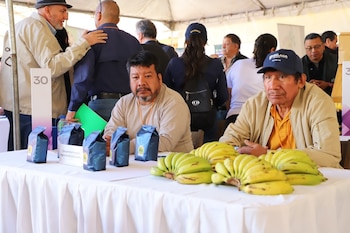 Café, azúcar y frutas guatemaltecas