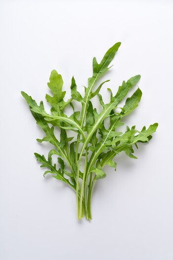 La rúcula es uno de