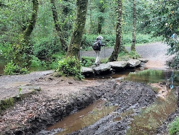 Camino de Santiago