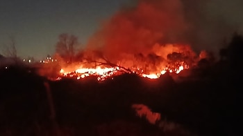 Incendio de gran magnitud en Sarandí: despliegan un amplio operativo de bomberos para controlar el fuego
