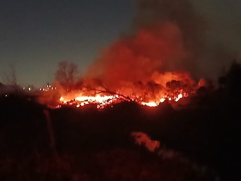 El humo redujo la visibilidad en los accesos cercanos a la autopista Buenos Aires-La Plata (Fuente: En La Mira Radio)