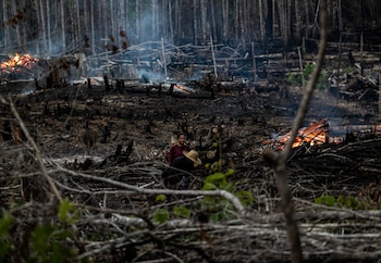 La catástrofe ambiental en la