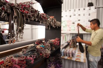 El plan oficial de microcréditos