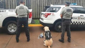 Un binomio canino interceptó en