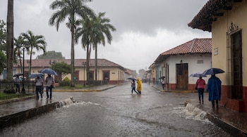 Calle de ciudad con personas bajo la lluvia usando paraguas e impermeables. Agua corre por las aceras y calzada, con edificios y palmeras alrededor.