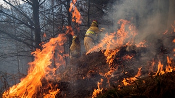 España arde en invierno: en el primer trimestre de 2026 se han quemado el doble de hectáreas que en el mismo periodo de 2025