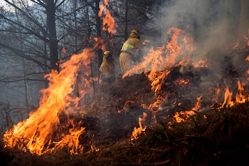 En la imagen de archivo, agentes forestales apagan un incendio en los montes de la localidad española de Vargas. (EFE/ Pedro Puente Hoyos)