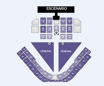 ricky martin concierto puebla -México- 21 octubre