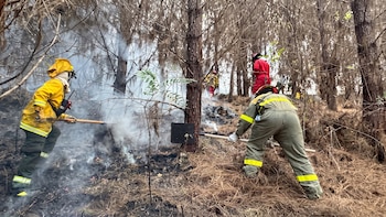 Incendios forestales en Cusco: tres focos siguen activos, las llamas amenazan zonas habitadas y ordenan evacuar en La Convención