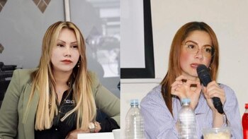 Consejera para las Regiones respondió