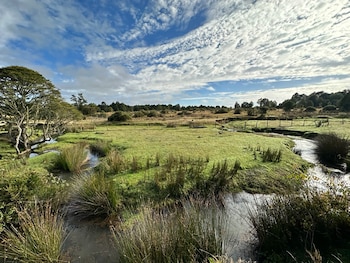 Los hallazgos indican que la