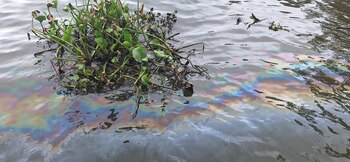 Este es el quinto derrame