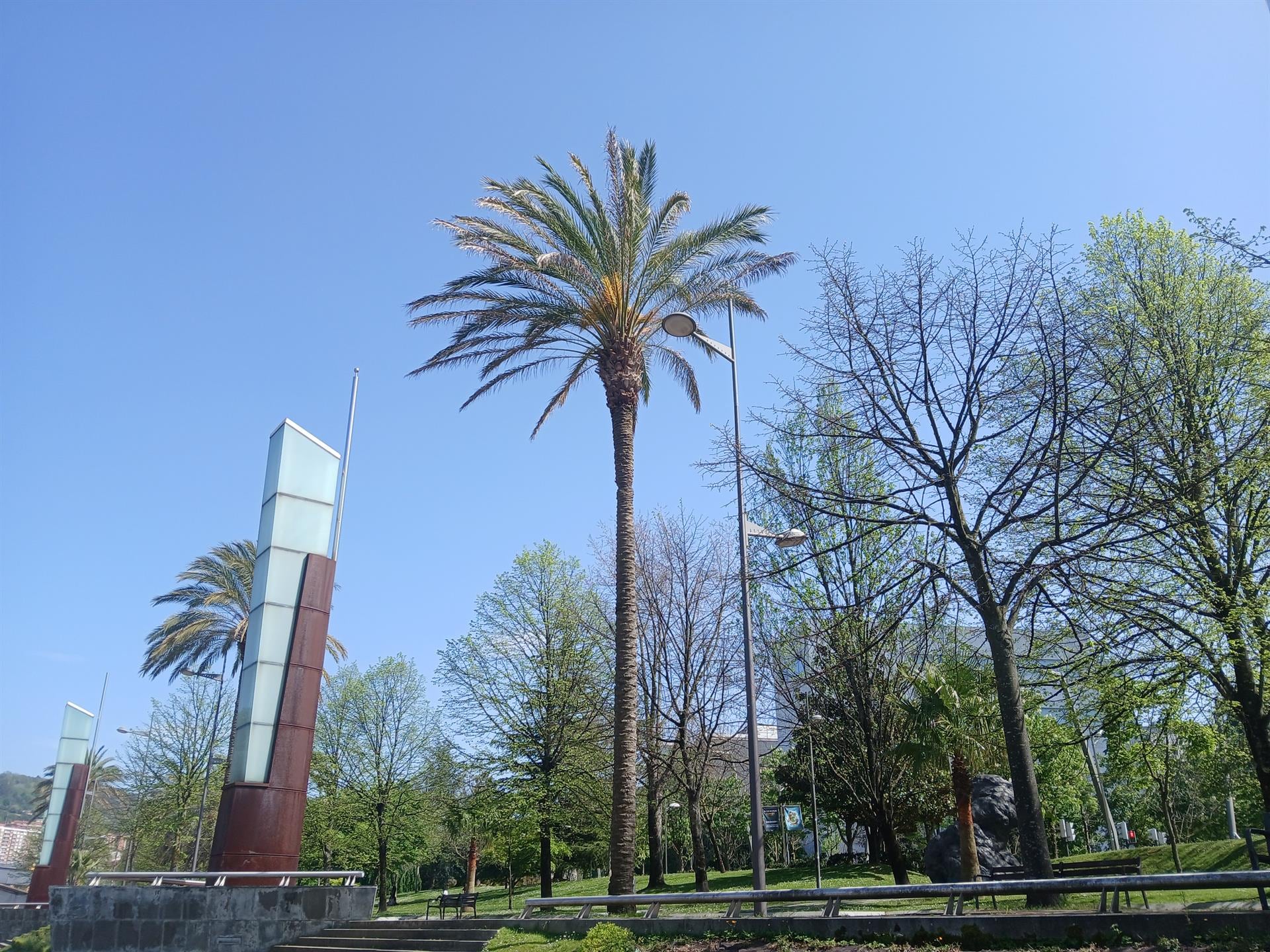 Noviembre comienza este domingo con cielos despejados en la mayor parte de la península y lluvias fuertes en Canarias
