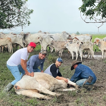 Yeison Jiménez tomó varios cursos