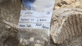 El enigma de Kostenki 11