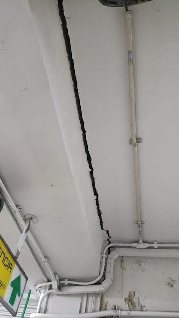 (X: @EnFocoNoticias1)