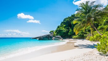 El fondo arenoso de las