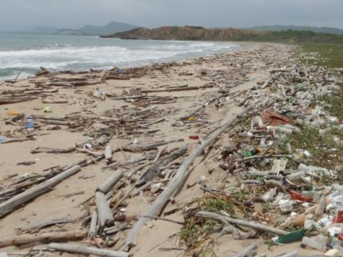 Crisis ambiental: playas vírgenes del Caribe colombiano están “extremadamente sucias” - Infobae