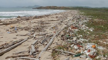 Crisis ambiental: playas vírgenes del