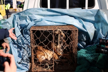 Corea del Sur abandonará en