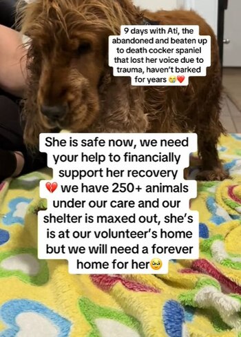 Ati no tiene severos problemas