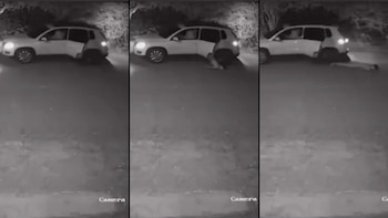 Autoridades investigan los hechos