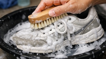 ¿Cada cuánto se deben lavar los tenis?