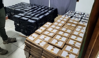 Un total de 925 paquetes de cocaína fueron localizados dentro de una vivienda, mientras otros 66 estaban ocultos en un vehículo. Crédito: MSP