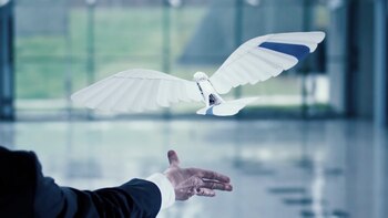 Crearon un pájaro robot que parece real: cómo vuela y para qué sirve
