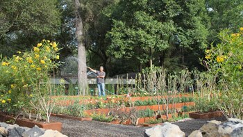 CIUDAD DE MÉXICO, 28ABRIL2017.- En