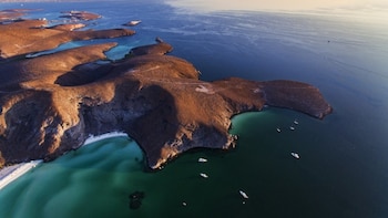 Playas secretas en la Isla Espíritu Santo: así son las joyas del Mar de Cortés en donde puedes nadar con lobos marinos