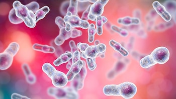 Este tratamiento puede mejorar tus probabilidades de sobrevivir a una infección por C. diff