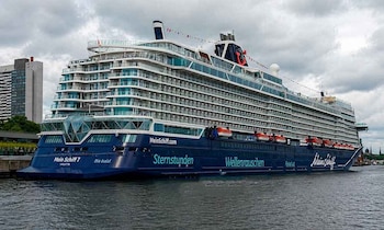 Un niño de dos años cayó desde varios metros en el crucero Mein Schiff 7 mientras estaba atracado en Funchal, lo que reavivó el debate sobre la seguridad en viajes familiares en alta mar.