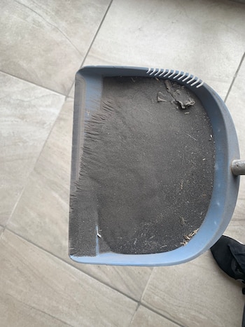 caida ceniza popocatepetl