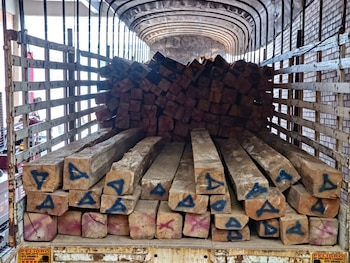 El volumen de madera acumulado en las instalaciones de la CAR alcanza para la construcción de más de 50 viviendas familiares- crédito CAR