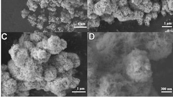 Avance científico logra reparar neuronas