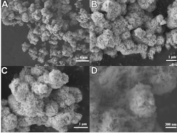 Las nanoflores desarrolladas por Texas