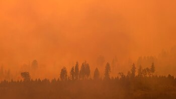 California y Canadá luchan contra